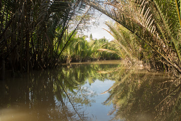in the delta of Mekong river, Vietnam, Asia