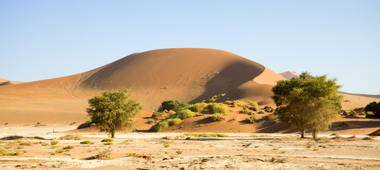 Sossusvlei, Namibia Africa