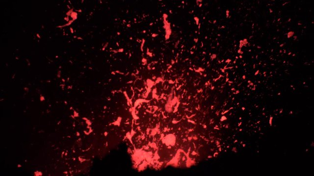 SLOW MOTION, CLOSE UP: Active volcanic crater spewing out pieces of bright orange magma. Bright orange volcanic matter bursting in air from Mount Yasur. Breathtaking shot of a hot lava explosion.