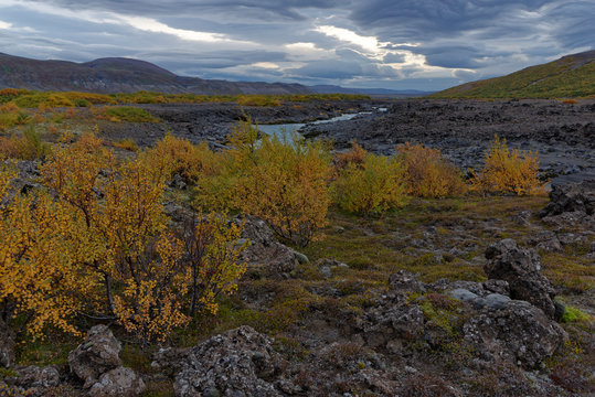 herbstliche Landschaft entlang der F550, Island