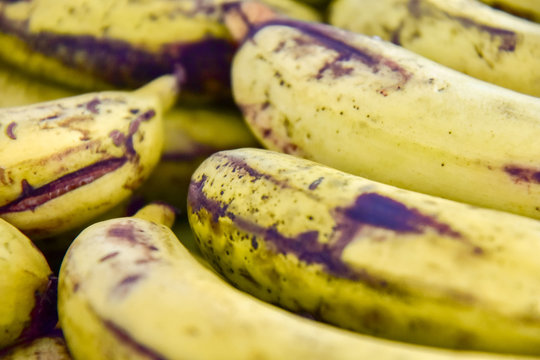 close up image of real organic ripe mini banana fruits