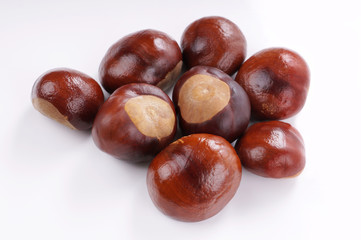 top view of chestnuts or conkers on white background