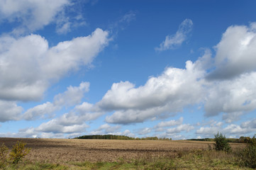 Arable farm field, cloudy sky