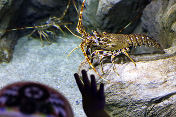 Delete these files. Sorry for upload. Cant find delete button in upload area.