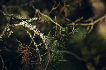 Delete these files. Sorry for upload. Cant find delete button in upload area.