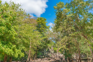 ベンメリア遺跡