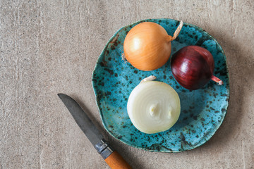 Plate with raw onion and knife on grey table