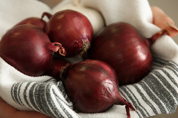 Woman holding red onion, closeup