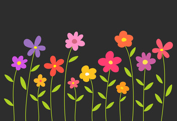 Colorful spring flowers on black background.