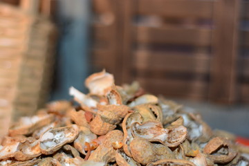 yerfıstığı,fıstık,kabuk,&ccedil;&ouml;p,kuruyemiş