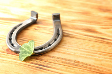 Horseshoe and clover for St. Patrick's Day on wooden background