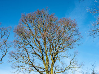 OLYMPUS DIGITAL  - LOOK UP