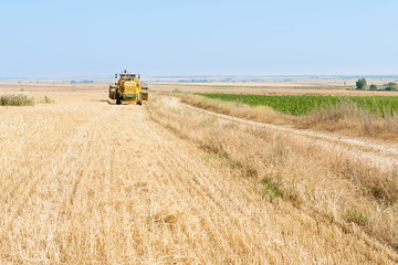 Obraz premium Harvester performing mowing tasks in the field.