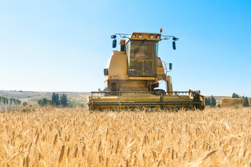 Harvester performing mowing tasks in the field.