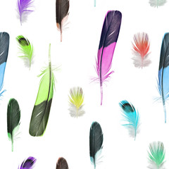 feathers on white seamless background