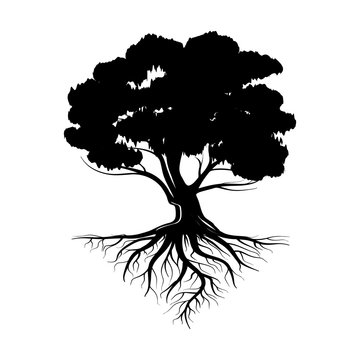 Logo Of A Black Life Tree With Roots And Leaves. Vector Illustration Icon Isolated On White Background.