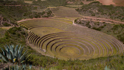 Fototapeta na wymiar Moray maras archeological site in Peru