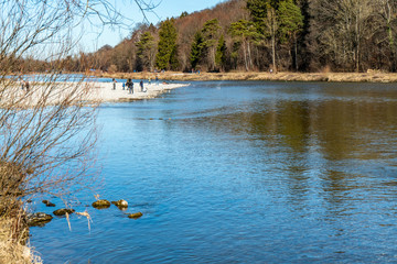 Island beach in the River Isar