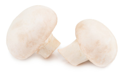  champignon mushrooms isolated on white background, with clipping path