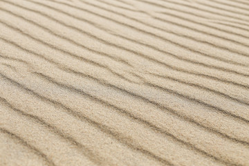 Sand dune lines and patterns sculpted by wind on Parnidis sand dune - popular tourist point in Lithuania. Located in Nida, in Curonian Spit between curonian lagoon and baltic sea. a Unesco site.