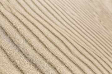 Sand dune lines and patterns sculpted by wind on Parnidis sand dune - popular tourist point in Lithuania. Located in Nida, in Curonian Spit between curonian lagoon and baltic sea. a Unesco site.