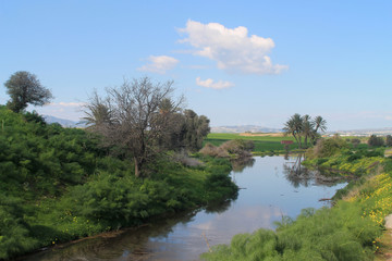 Fototapeta premium Landscape with river and trees