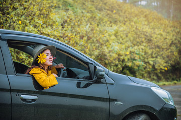 Asian women are on vacation. Drive happily traveling to the Mexican sunflower flower garden in Thailand.