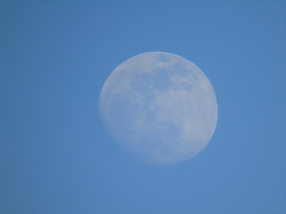 Liguria, Italy - 02/18/2019: An amazing photography of the full moonlight over the mountains, hidden and out of the trees in the village by day with beautiful blue sky in the background in winter days