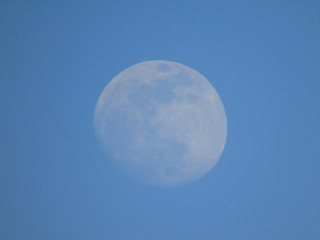 Liguria, Italy - 02/18/2019: An amazing photography of the full moonlight over the mountains, hidden and out of the trees in the village by day with beautiful blue sky in the background in winter days