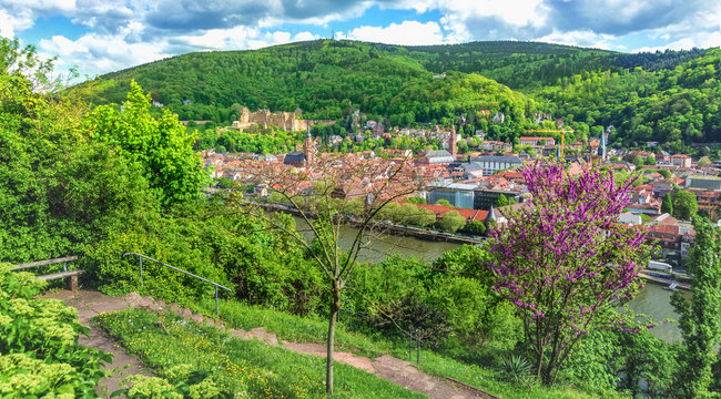 Heidelberg Panorama Aussicht mit Schloss im Frühling, Philosophenweg.