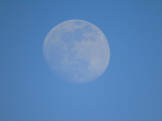 Liguria, Italy - 02/18/2019: An amazing photography of the full moonlight over the mountains, hidden and out of the trees in the village by day with beautiful blue sky in the background in winter days