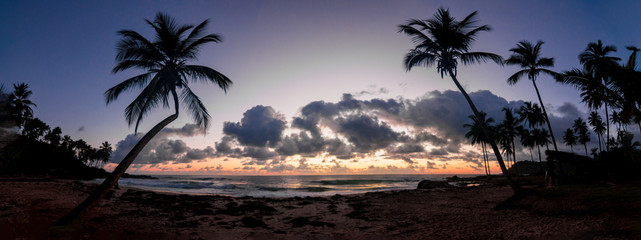 beautiful sunrise in itacaré, bahia brazil, with silhouettes of coconut trees and a sky with colorful clouds - 250475392