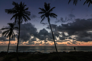 beautiful sunrise in itacaré, bahia brazil, with silhouettes of coconut trees and a sky with colorful clouds - 250475738