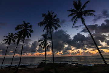 beautiful sunrise in itacaré, bahia brazil, with silhouettes of coconut trees and a sky with colorful clouds - 250475793