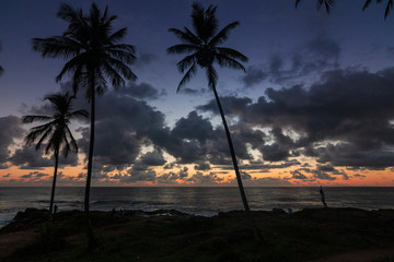 beautiful sunrise in itacaré, bahia brazil, with silhouettes of coconut trees and a sky with colorful clouds - 250475908