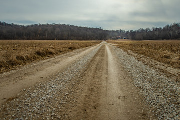 Naklejka premium Driving through a field