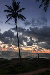 beautiful sunrise in itacaré, bahia brazil, with silhouettes of coconut trees and a sky with colorful clouds - 250475995