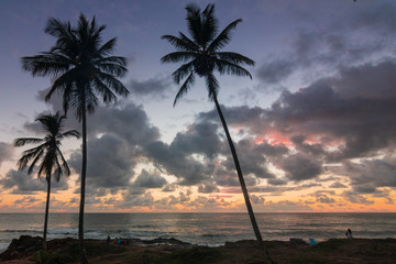 beautiful sunrise in itacaré, bahia brazil, with silhouettes of coconut trees and a sky with colorful clouds - 250476111