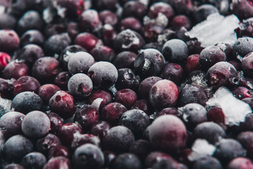 frozen cherries on light grey background