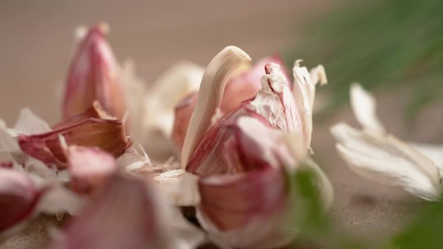 SLOW MOTION, MACRO, DOF: Purple cloves of garlic get scattered after falling on the chef's kitchen table. Cinematic shot of purple cloves of organic garlic falling and bouncing around in the peels.