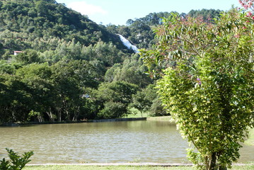 Lake in the park