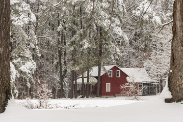 Red house in snow surrounded by trees