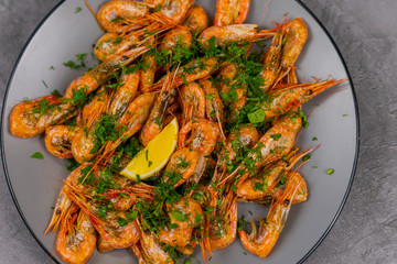 shrimp on a gray background 