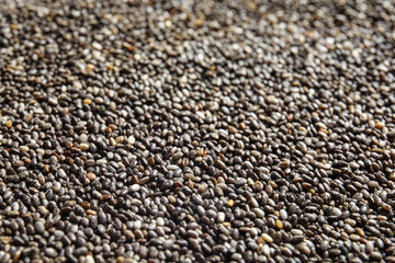 Chia seeds as background, closeup view. Organic superfood
