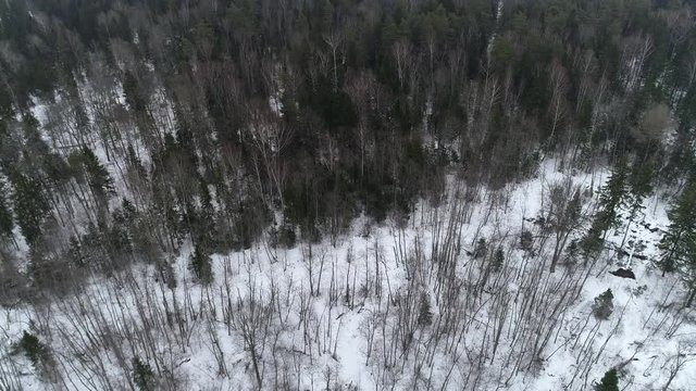 Winter landscape, aerial