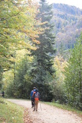 Fototapeta premium hiking in the mountains