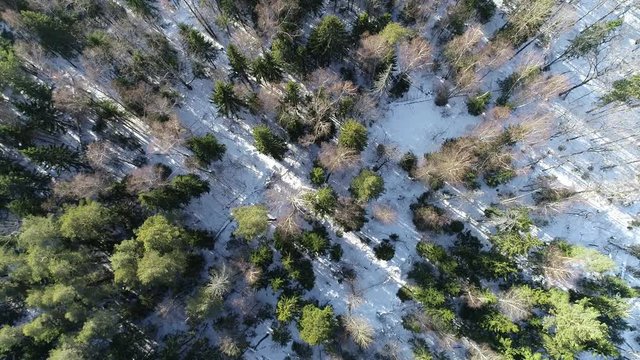 Beautiful winter landscape from the drone