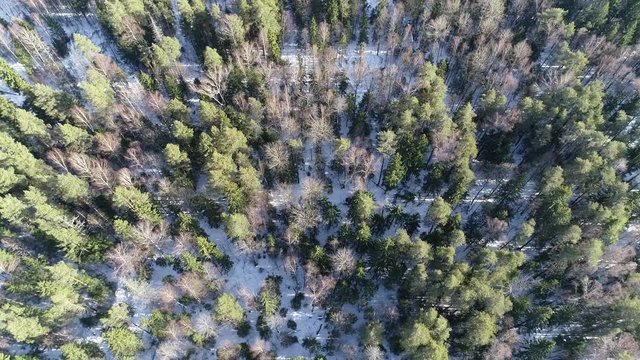 Beautiful winter landscape from the drone