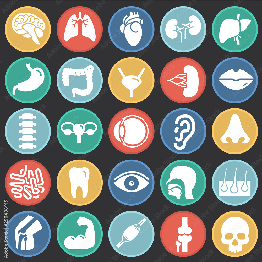 Poster human organs set on color circles black background for graphic and web design, modern simple vector 