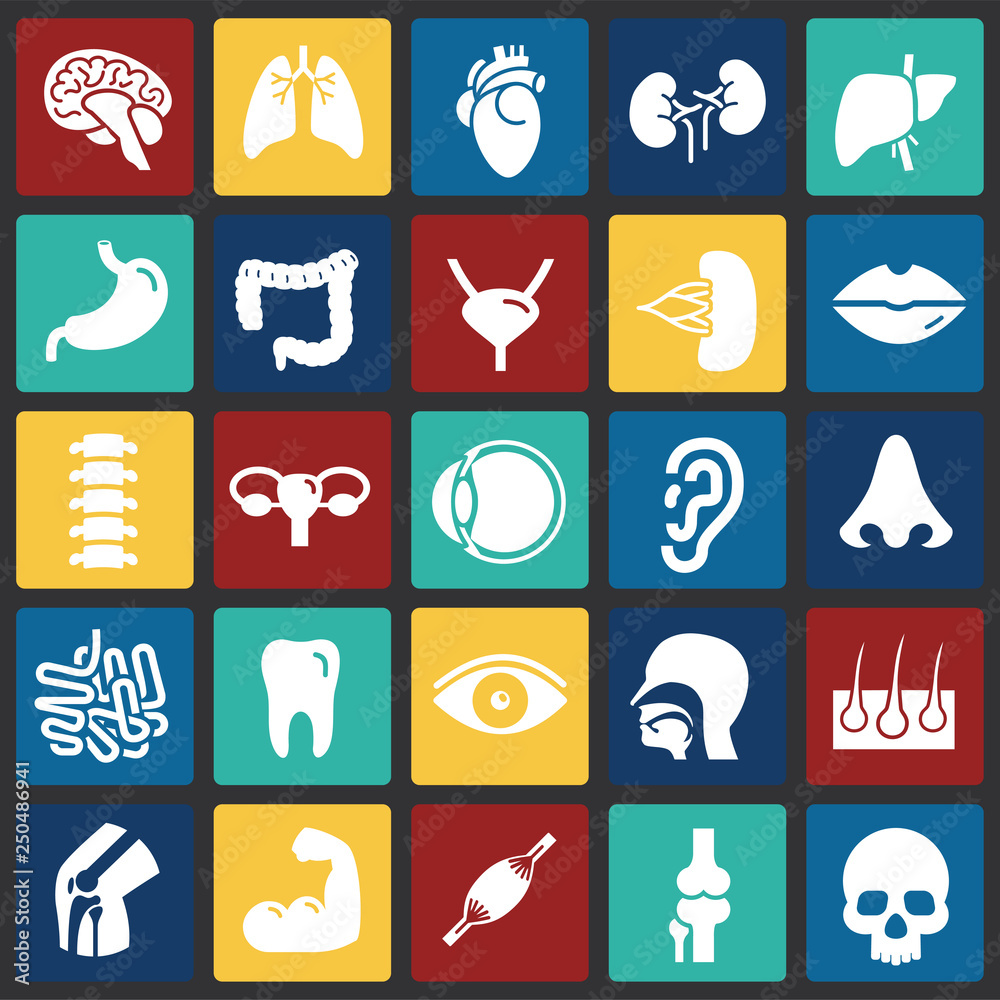 Poster Human organs set on color squares background for graphic and web design, Modern simple vector sign. Internet concept. Trendy symbol for website design web button or mobile app